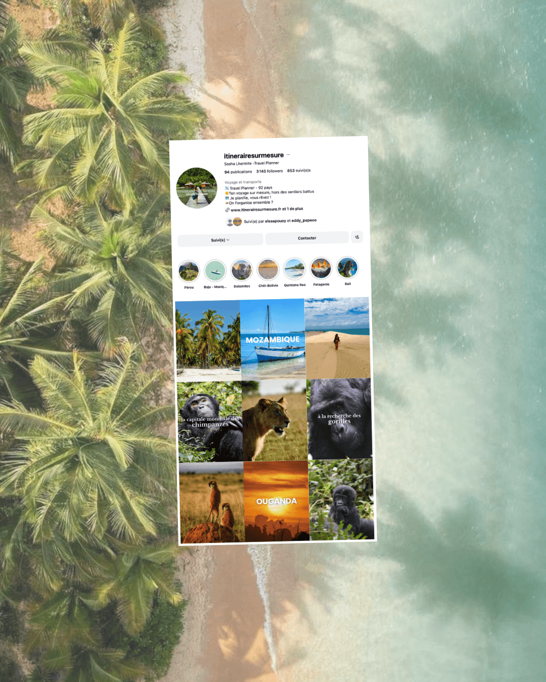 Gestion des réseaux sociaux