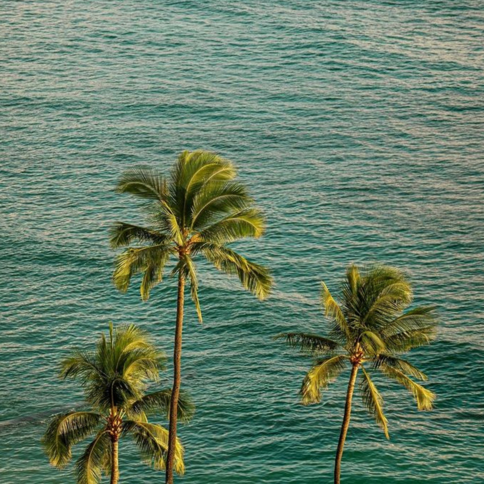 Itinéraire Sur Mesure